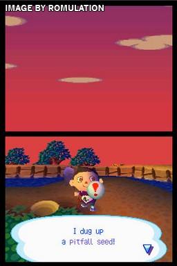 animal crossing nds rom